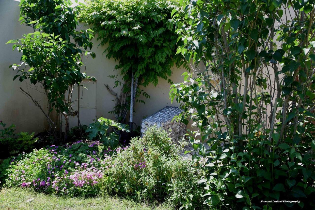 Chez Mamou & Dadou Lägenhet Monteux Exteriör bild