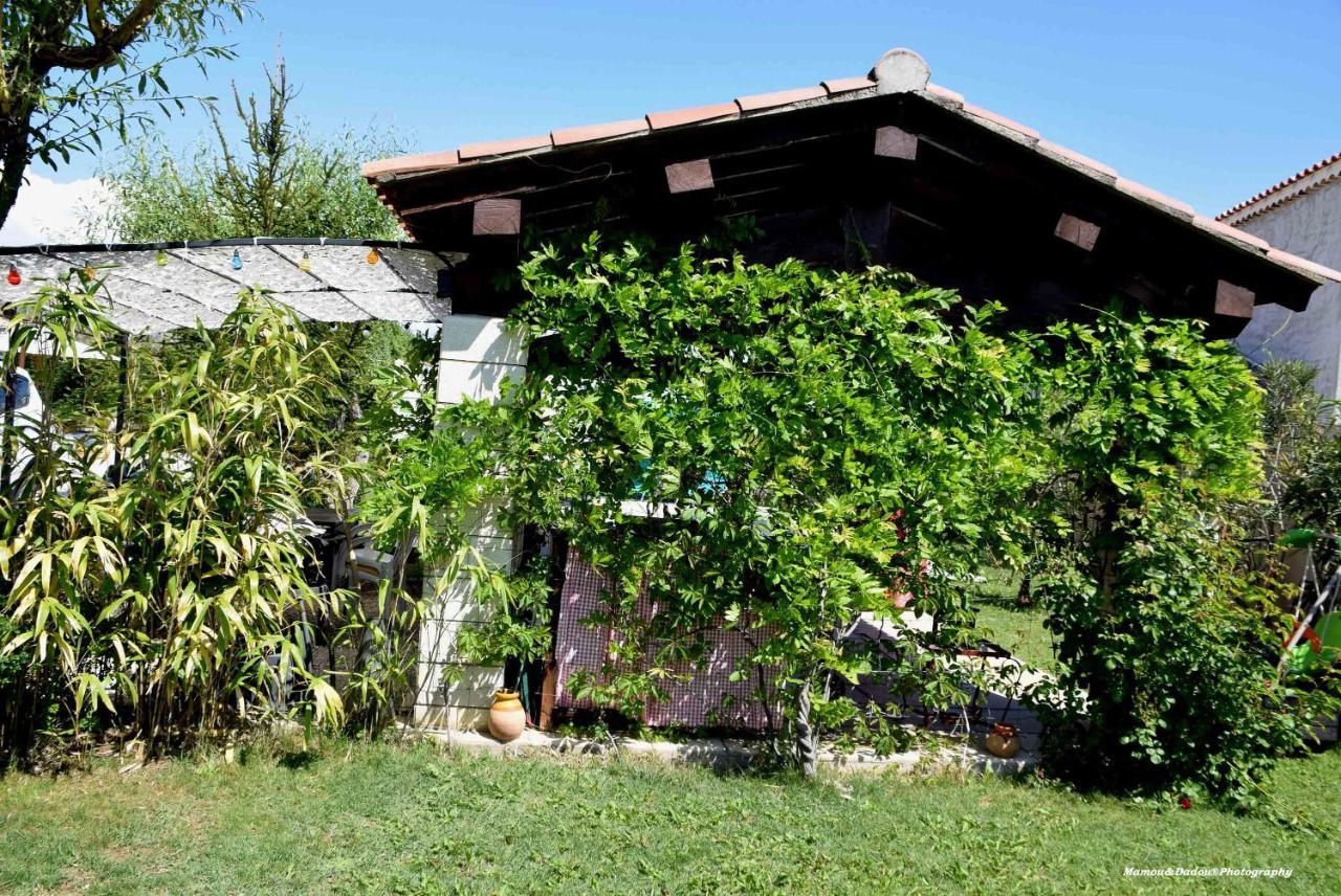 Chez Mamou & Dadou Lägenhet Monteux Exteriör bild